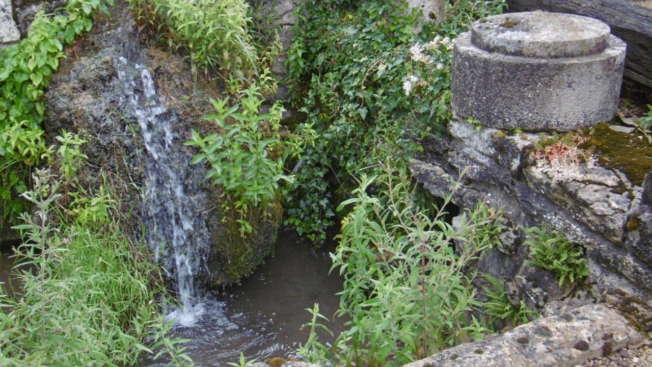 Gite Ancien Lavoir Viserny Exteriör bild